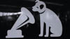 HMV dog