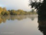 Mist