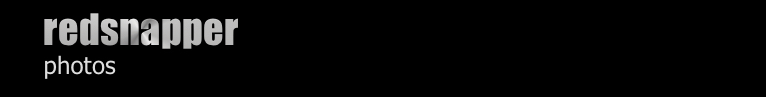redsnapper header